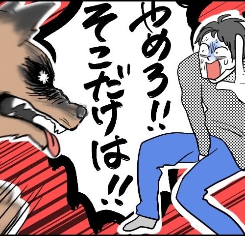 「大事なところをかまれた！」隣家の大型犬に襲われた夫…その後に待ち受けていた展開は【体験談】